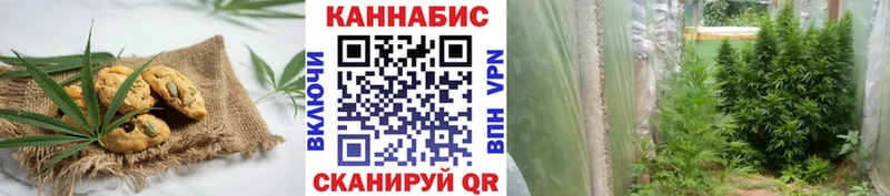 гидра ссылки  купить  сайты  Новочеркасск  Еда ТГК марихуана 
