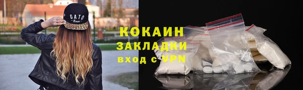 гашик Кулебаки