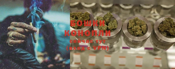 гашик Кулебаки