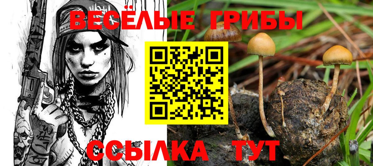Псилоцибиновые грибы MAGIC MUSHROOMS Новочеркасск
