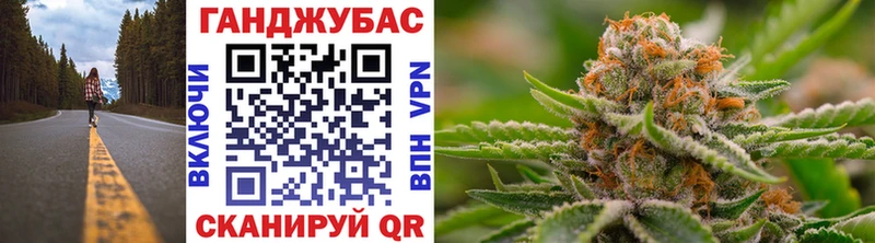 купить наркоту  Новочеркасск  omg ССЫЛКА  МАРИХУАНА SATIVA & INDICA 